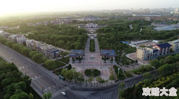 《口袋新世代》深度解析：多样化快速升级方法与策略