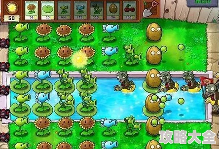 《植物大战僵尸杂交版冒险模式第67关详解攻略 | 图文并茂通关秘籍》是一篇专为游戏爱好者准备的深度攻略。本文将详细解析第67关的难点、策略及技巧，并通过丰富的图文资料，帮助玩家顺利通关。