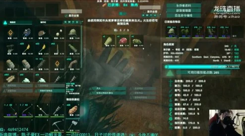 《流浪方舟》作为一款深受玩家喜爱的策略游戏，其十二胜试炼模式一直是玩家们热衷挑战的环节。如何搭配出高效的战斗阵容，成为许多玩家关注的焦点。本文将为您带来《流浪方舟十二胜试炼阵容搭配攻略，详解高效战斗组合策略》，帮助您在游戏中轻松应对各种挑战。
